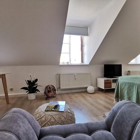 Fynbos Apartments In Der Altstadt, Frauenkirche, Historisch, Parkplatz Майсен Екстер'єр фото